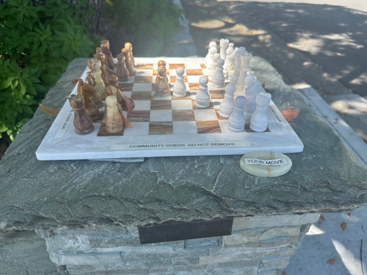 public chess game